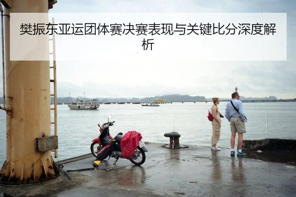 樊振东亚运团体赛决赛表现与关键比分深度解析