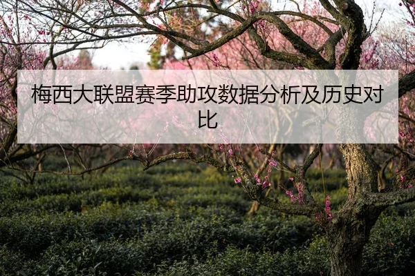 梅西大联盟赛季助攻数据分析及历史对比